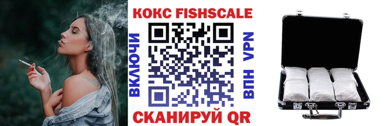 Купить закладки Гудермес Cocaine Fish Scale