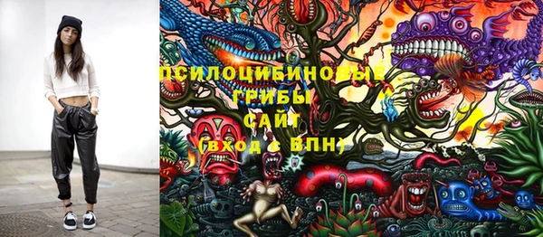 мет Коряжма