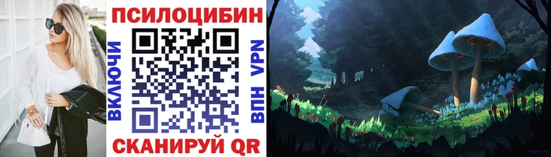 Галлюциногенные грибы Cubensis  Купить  Гудермес 